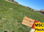 Ostersuchfahrt 2022